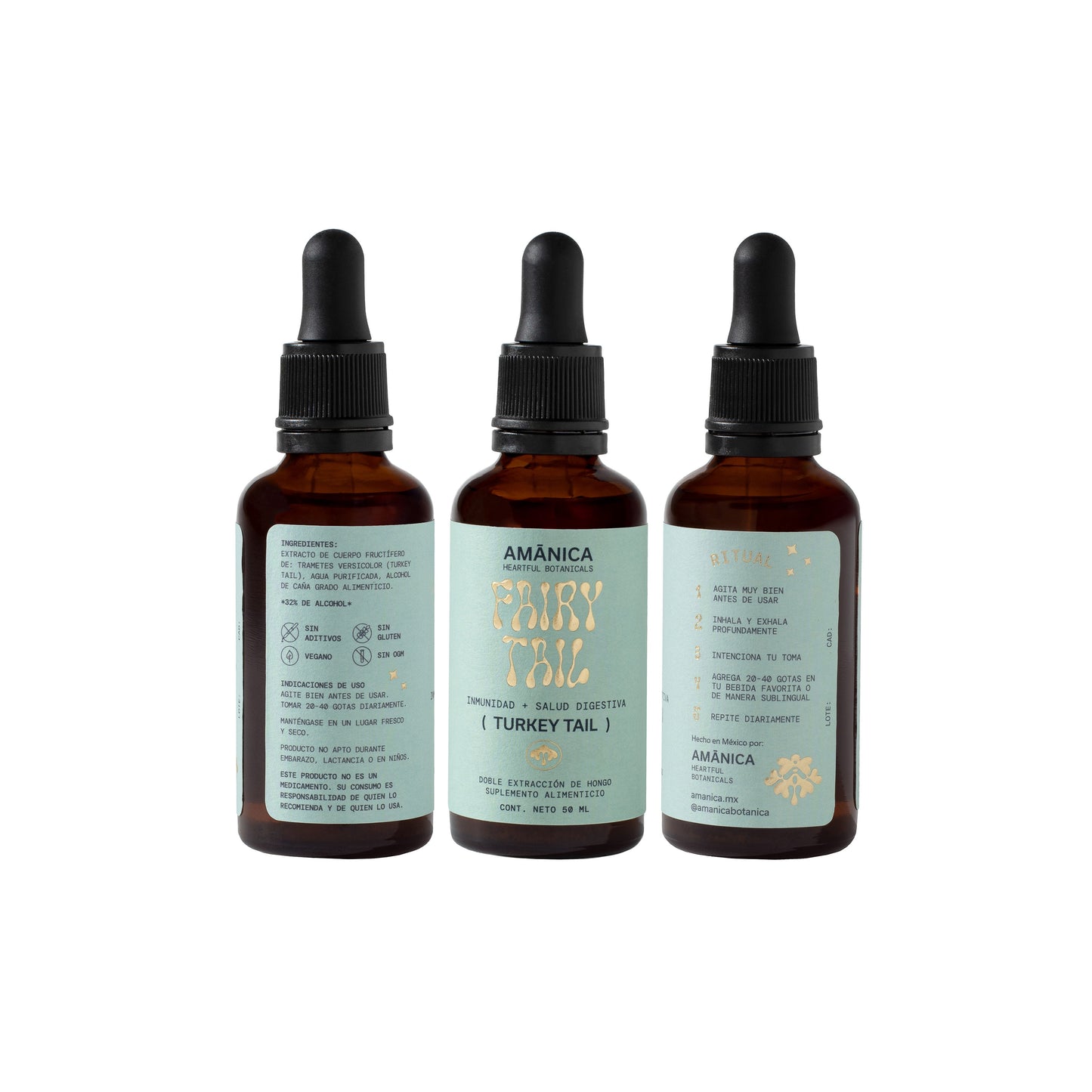 Turkey Tail | Fairy Tail