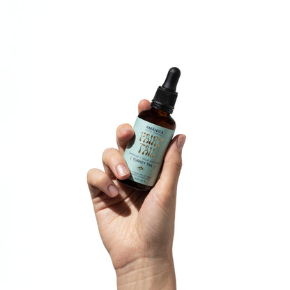 Turkey Tail | Fairy Tail