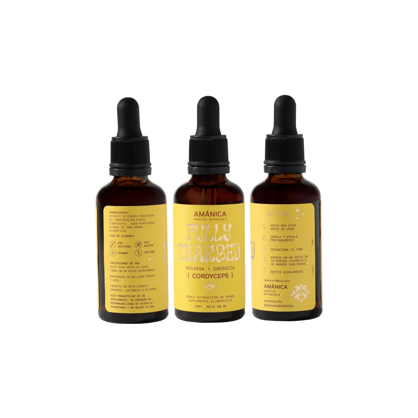 Cordyceps | Fully Charged