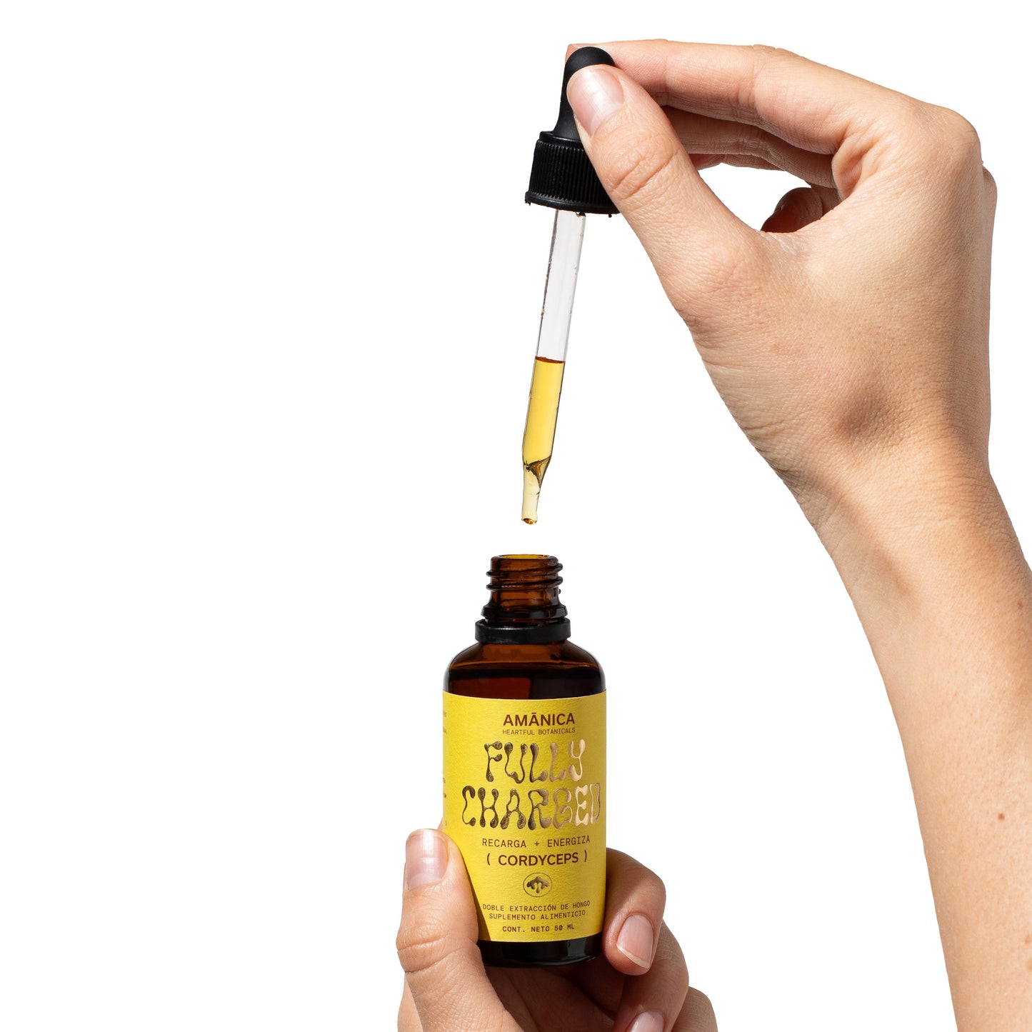 Cordyceps | Fully Charged