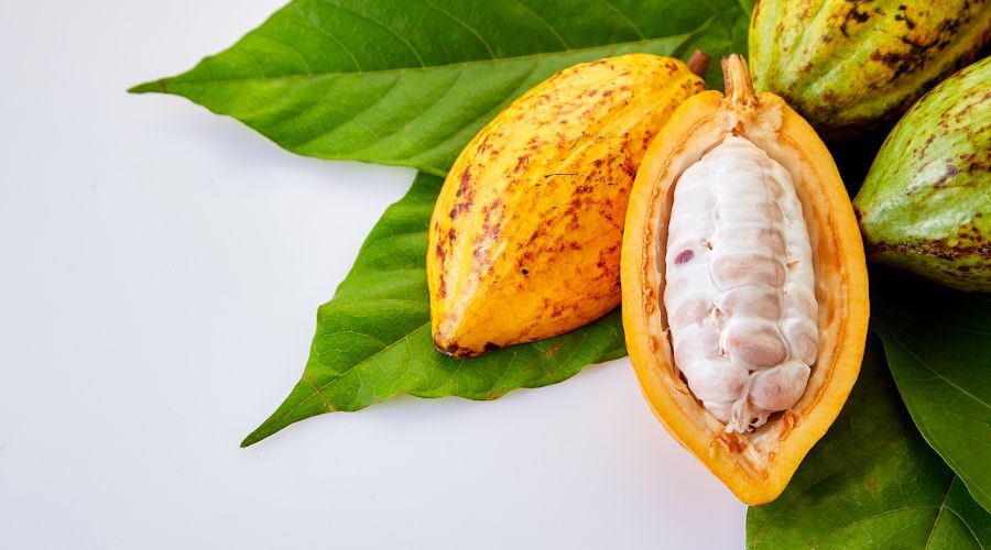 Cacao Tostado Orgánico | Caco Bienestar Natural